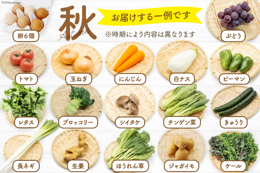 長崎県島原市のふるさと納税 BH113 【6回定期便】 野菜・フルーツ・卵 旬のおまかせセット （野菜・フルーツ14～16種、卵6玉） 【 野菜セット 野菜 フルーツ 果物 たまご 鶏卵 産地直送 厳選 野菜生活 長崎県 島原市 送料無料】