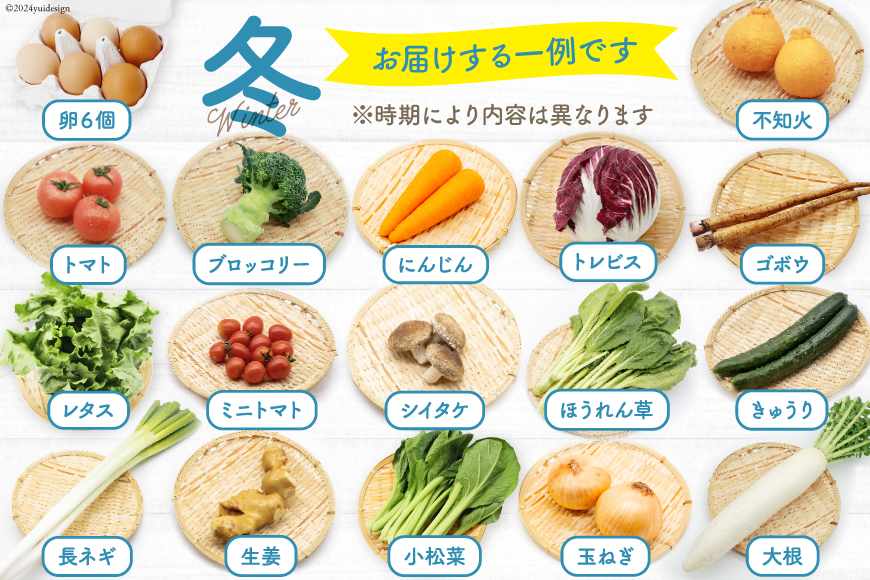 長崎県島原市のふるさと納税 BH113 【6回定期便】 野菜・フルーツ・卵 旬のおまかせセット （野菜・フルーツ14～16種、卵6玉） 【 野菜セット 野菜 フルーツ 果物 たまご 鶏卵 産地直送 厳選 野菜生活 長崎県 島原市 送料無料】