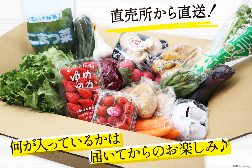 長崎県島原市のふるさと納税 BH113 【6回定期便】 野菜・フルーツ・卵 旬のおまかせセット （野菜・フルーツ14～16種、卵6玉） 【 野菜セット 野菜 フルーツ 果物 たまご 鶏卵 産地直送 厳選 野菜生活 長崎県 島原市 送料無料】
