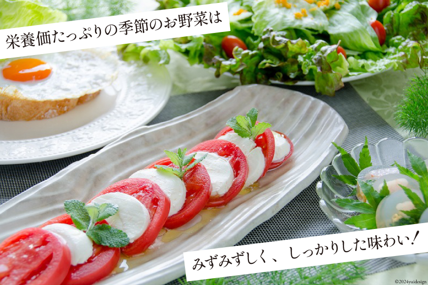 長崎県島原市のふるさと納税 BH113 【6回定期便】 野菜・フルーツ・卵 旬のおまかせセット （野菜・フルーツ14～16種、卵6玉） 【 野菜セット 野菜 フルーツ 果物 たまご 鶏卵 産地直送 厳選 野菜生活 長崎県 島原市 送料無料】