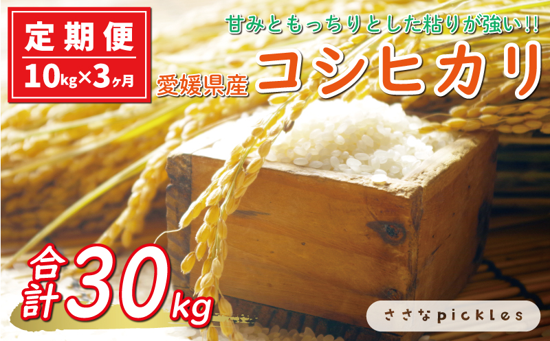 新米 令和6年産 定期便 10kg × 3回 コシヒカリ 合計 30kg お米 白米 こしひかり 米 こめ 精米 産地直送 国産 農家直送 期間限定 数量限定 特産品 令和6年度産 2024年産 大粒 もっちり 粘り 甘み おいしい おにぎり 人気 内祝い お祝い 贈答品 お返し プレゼント 土産 御礼 お礼 お取り寄せ 愛南町 愛媛県 ささなピクルス