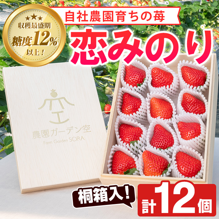 [先行予約受付中!2025年1月以降発送予定]桐箱入!自社農園産いちご 恋みのり(計12個) 鹿児島 阿久根 自社農園 果物 フルーツ イチゴ いちご 苺 恋みのり 贈答用 ギフト 桐箱 デザート 期間限定 [農園ガーデン空]a-24-50-z