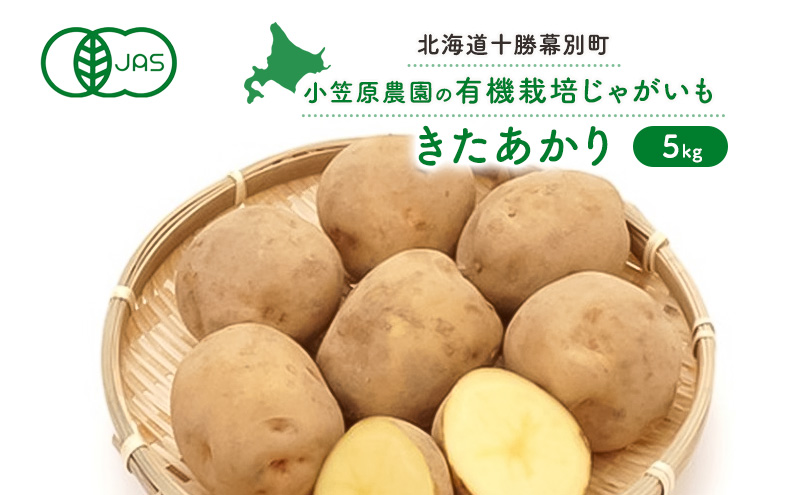 小笠原農園の有機じゃがいも「きたあかり」5kg【北海道十勝幕別】≪2024年秋出荷先行予約≫ 野菜 芋 じゃがいも きたあかり 北海道 幕別町