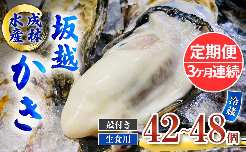 定期便 牡蠣 生食用 坂越かき 殻付き 42～48個《3ヶ月連続お届け》 成林水産 [ 生牡蠣 真牡蠣 かき カキ 冬牡蠣 ]