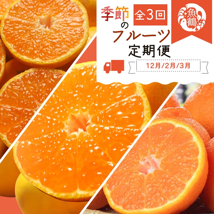 【和歌山県美浜町】〈定期便〉【12・2・3月 全3回】紀州和歌山産旬の柑橘セット(田村みかん・はるみ・不知火) ※離島への配送不可