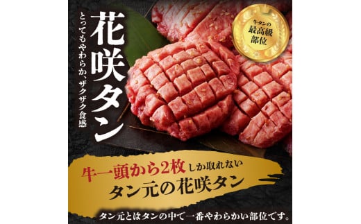 京都府木津川市のふるさと納税 極厚タンと薄切りタンの食べ比べセット 500g 【九条ネギ付き】