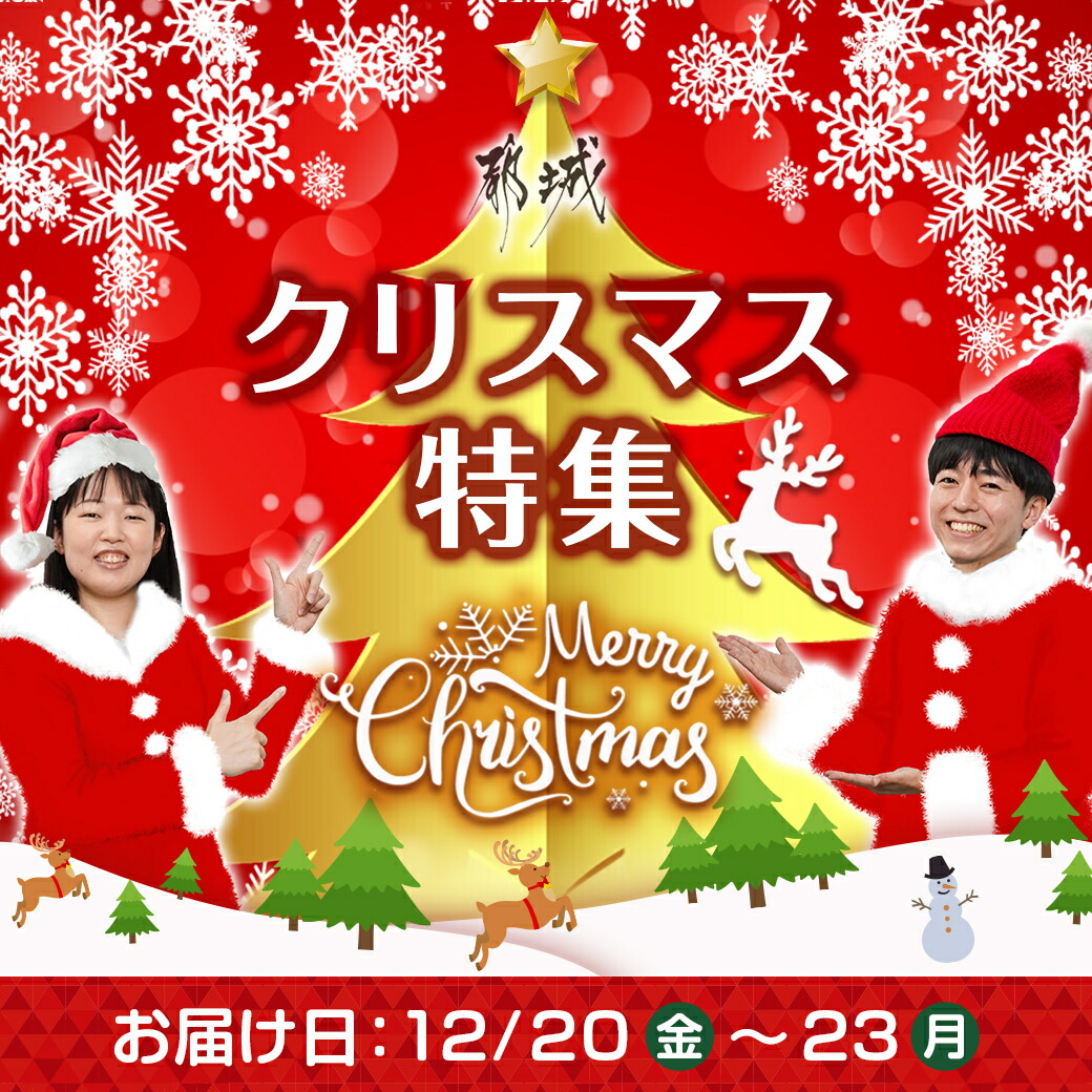 宮崎県都城市のふるさと納税 【☆クリスマス☆】ブッシュドノエル＆静マカロン7個セット≪12月20日～23日お届け≫_AC-C207-OJX