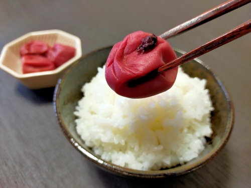 三重県南伊勢町のふるさと納税 南高梅 田舎味 200g 2個 計 400g ／ 伊勢志摩産 梅干 無添加 大粒 塩分 18% ないぜしぜん村 梅干し うめ 梅 ume 肉厚 手作り 小分け 送料無料 産地直送 三重県 南伊勢町