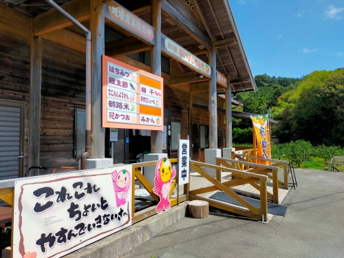 三重県南伊勢町のふるさと納税 南高梅 田舎味 200g 2個 計 400g ／ 伊勢志摩産 梅干 無添加 大粒 塩分 18% ないぜしぜん村 梅干し うめ 梅 ume 肉厚 手作り 小分け 送料無料 産地直送 三重県 南伊勢町