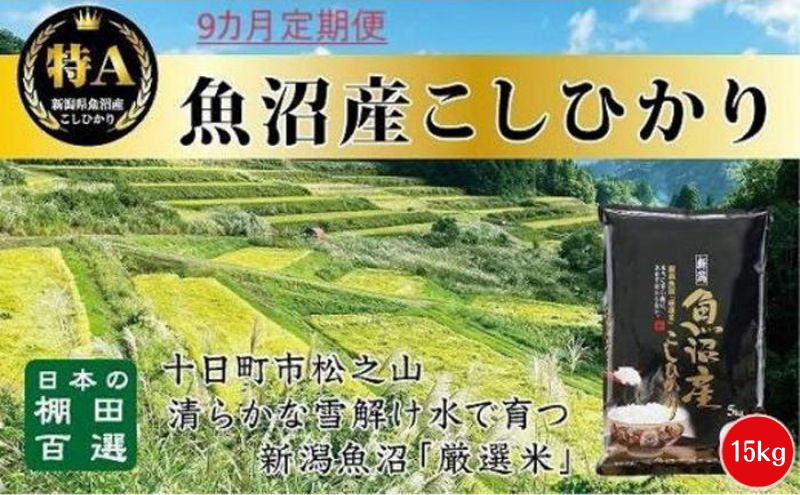 【令和6年産新米予約】9カ月 定期便 日本棚田百選のお米 天空の里 魚沼産 こしひかり 15kg(5kg×3)×9回 米 お米 コメ