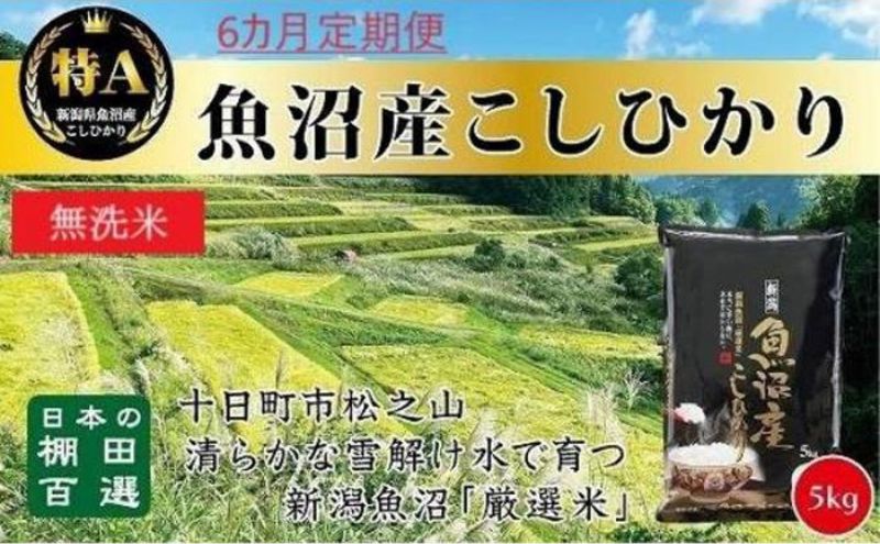 【令和6年産新米予約】 無洗米 6カ月 定期便 日本棚田百選のお米 天空の里 魚沼産 こしひかり 5kg×6回 米 お米 コメ