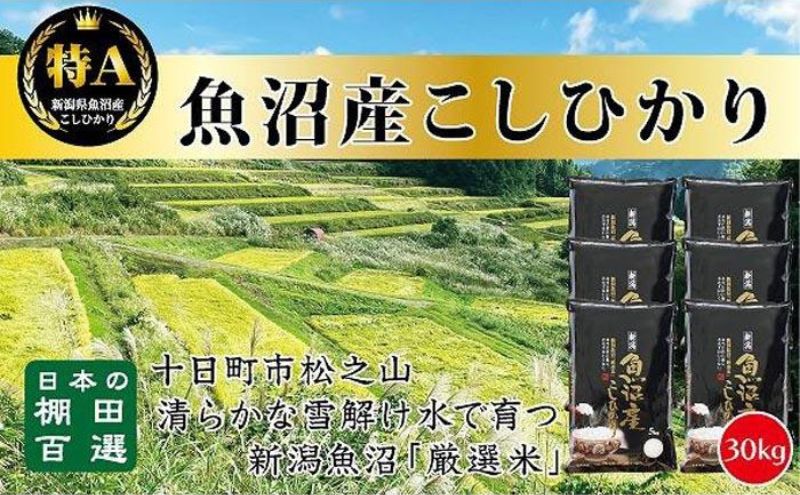 【令和6年産新米予約】日本棚田百選のお米　天空の里 魚沼産 こしひかり 30kg(5kg×6)