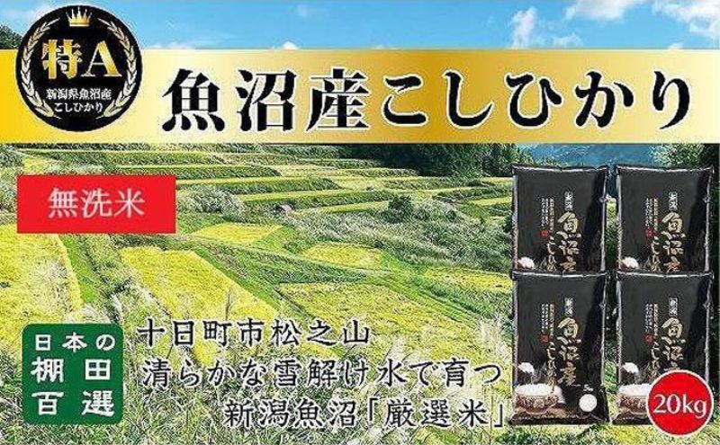 【令和6年産新米予約】日本棚田百選のお米 無洗米 天空の里 魚沼産 こしひかり 20kg(5kg×4)