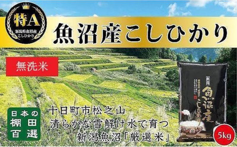 【令和6年産新米予約】日本棚田百選のお米 無洗米 天空の里 魚沼産 こしひかり 5kg×1