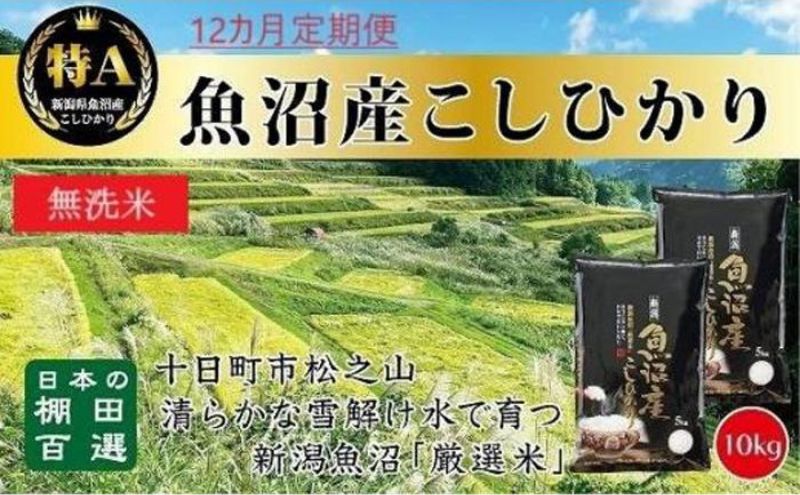 【令和6年産新米予約】 無洗米 12カ月 定期便 日本棚田百選のお米 天空の里 魚沼産 こしひかり 10kg(5kg×2)×12回 米 お米 コメ