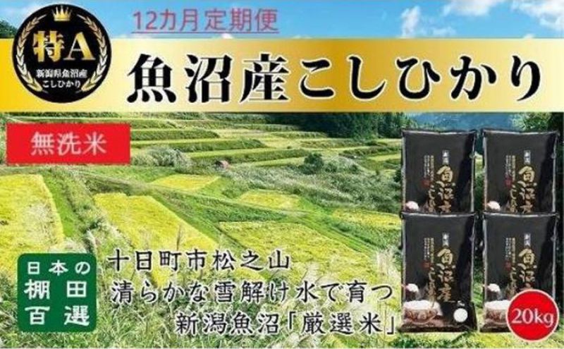 【令和6年産新米予約】 無洗米 12カ月 定期便 日本棚田百選のお米 天空の里 魚沼産 こしひかり 20kg(5kg×4)×12回 米 お米 コメ