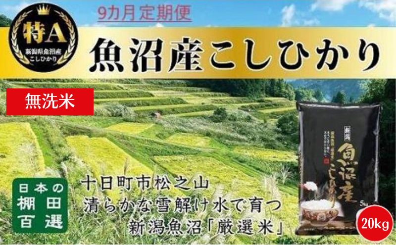 【令和6年産新米予約】 無洗米 9カ月 定期便 日本棚田百選のお米 天空の里 魚沼産 こしひかり 20kg(5kg×4)×9回 米 お米 コメ