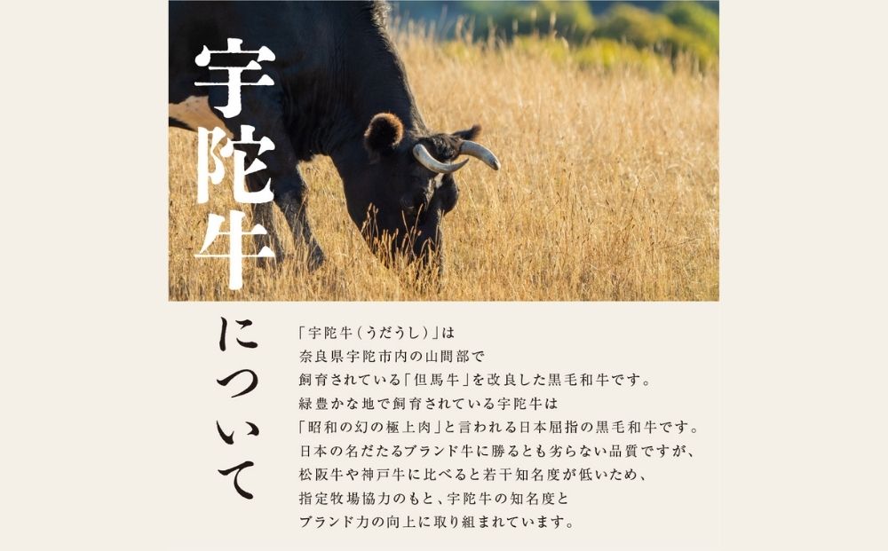 奈良県宇陀市のふるさと納税 特産 認定肉 宇陀牛 国産 黒毛和牛 特上 すき焼 約600g チルド / 宇陀 山繁 ふるさと納税 牛肉 人気 BBQ 焼きしゃぶ キャンプ 寄付 ランキング おすすめ グルメ 肉 返礼品 送料無料