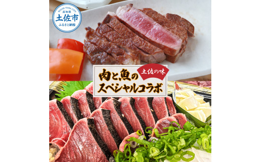 【高知県土佐市】土佐の味!肉と魚のスペシャルコラボ!土佐和牛 特選ヒレ肉200g 特製ソース付 土佐あかうし “生”カツオ藁焼きタタキ(タレ・薬味付)3人前〜5人前 2回に分けてお届け 鰹たたき かつおのタタキ