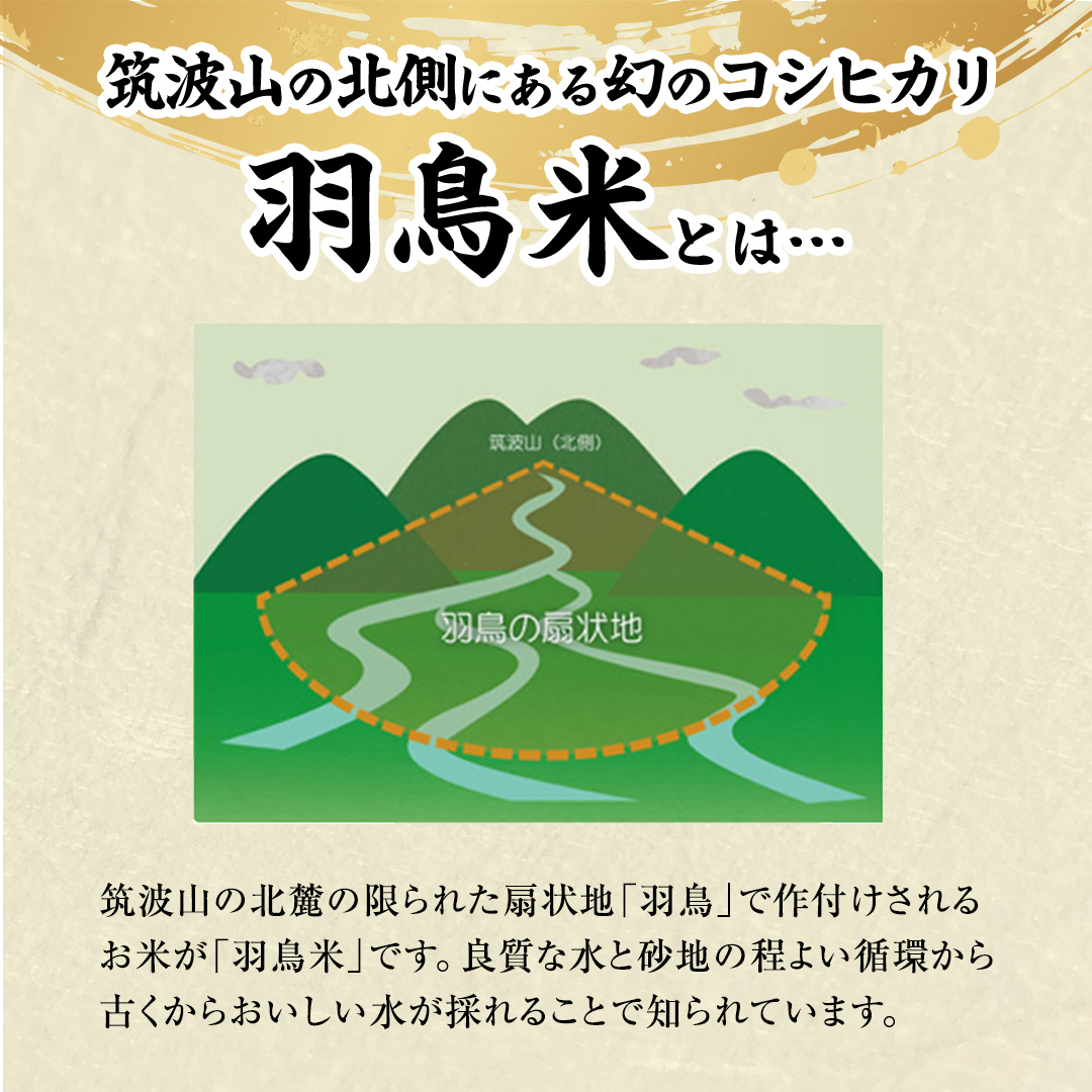 茨城県桜川市のふるさと納税 【 令和6年産 新米 】 茨城県産 コシヒカリ 「 羽鳥米 」 10kg ( 5kg × 2袋 ) 米 お米 コメ 白米 ごはん 精米 国産 茨城県 桜川市 限定 期間限定 数量限定 幻の米[AX003sa]