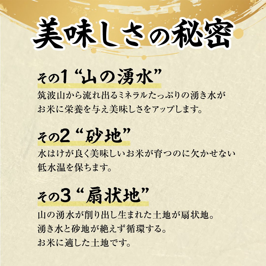 茨城県桜川市のふるさと納税 【 令和6年産 新米 】 茨城県産 コシヒカリ 「 羽鳥米 」 10kg ( 5kg × 2袋 ) 米 お米 コメ 白米 ごはん 精米 国産 茨城県 桜川市 限定 期間限定 数量限定 幻の米[AX003sa]