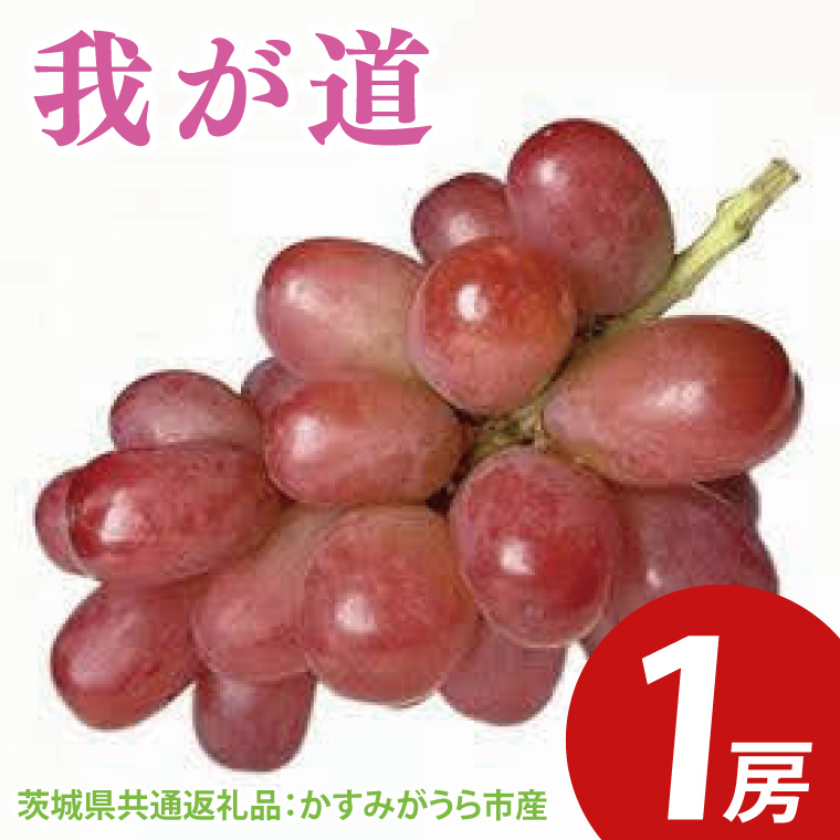 y錧qzys\z䂪 1[i錧ʕԗiF݂sYj@2025N9{`2025N10{ɏ\iCD031j