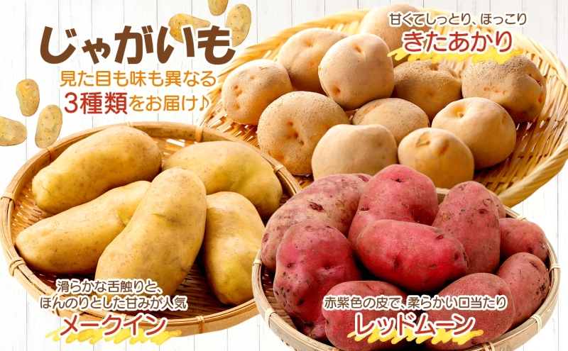 楽天市場】【予約】 北海道産 ご家庭用 新じゃが じゃがいも