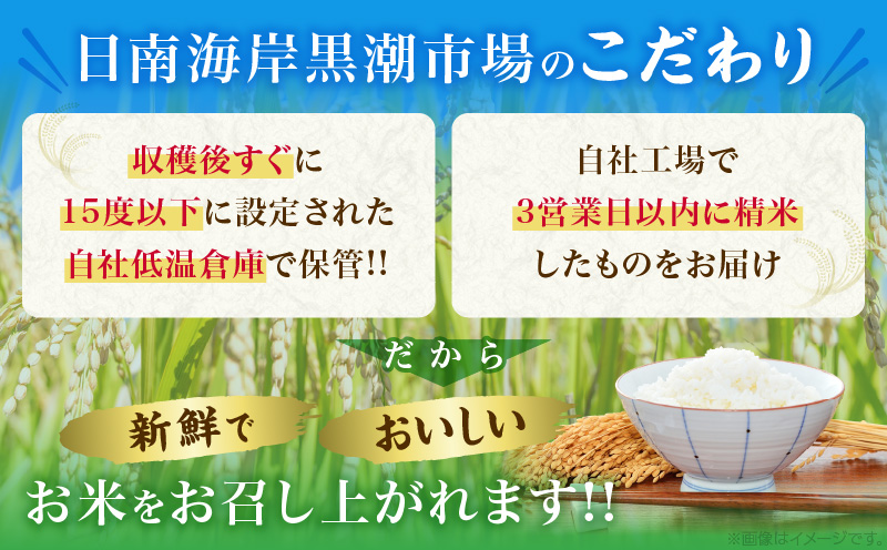 宮崎県日南市のふるさと納税 新米 コシヒカリ お米 10kg ご飯 ライス 国産 令和6年産 数量限定 期間限定 人気 食品 精米 白米 こしひかり 有洗米 おにぎり お弁当 炊き込みご飯 雑炊 ギフト プレゼント 贈り物 お取り寄せ 産地直送 宮崎県 日南市 送料無料_CC52-24