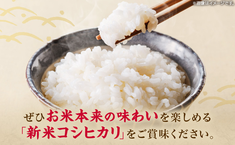 宮崎県日南市のふるさと納税 新米 コシヒカリ お米 10kg ご飯 ライス 国産 令和6年産 数量限定 期間限定 人気 食品 精米 白米 こしひかり 有洗米 おにぎり お弁当 炊き込みご飯 雑炊 ギフト プレゼント 贈り物 お取り寄せ 産地直送 宮崎県 日南市 送料無料_CC52-24