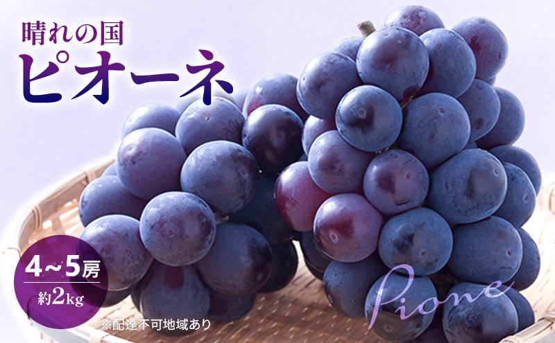 早期受付 ぶどう 晴れの国 ピオーネ 2kg（4～5房）化粧箱入り
