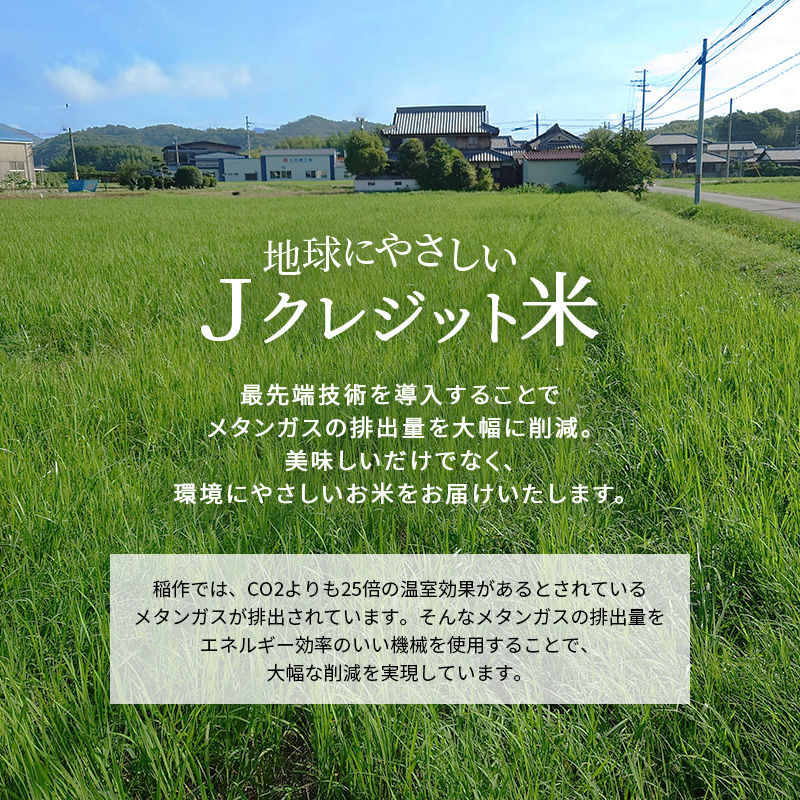 兵庫県加西市のふるさと納税 【令和7年度産 最速予約受付!】ヒノヒカリ 白米 10kg エコ  環境にやさしい おいしい お米 事業者支援 白米 精米 国産 ごはん ご飯 白飯 小分け