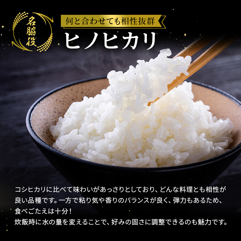 兵庫県加西市のふるさと納税 【令和7年度産 最速予約受付!】ヒノヒカリ 白米 10kg エコ  環境にやさしい おいしい お米 事業者支援 白米 精米 国産 ごはん ご飯 白飯 小分け