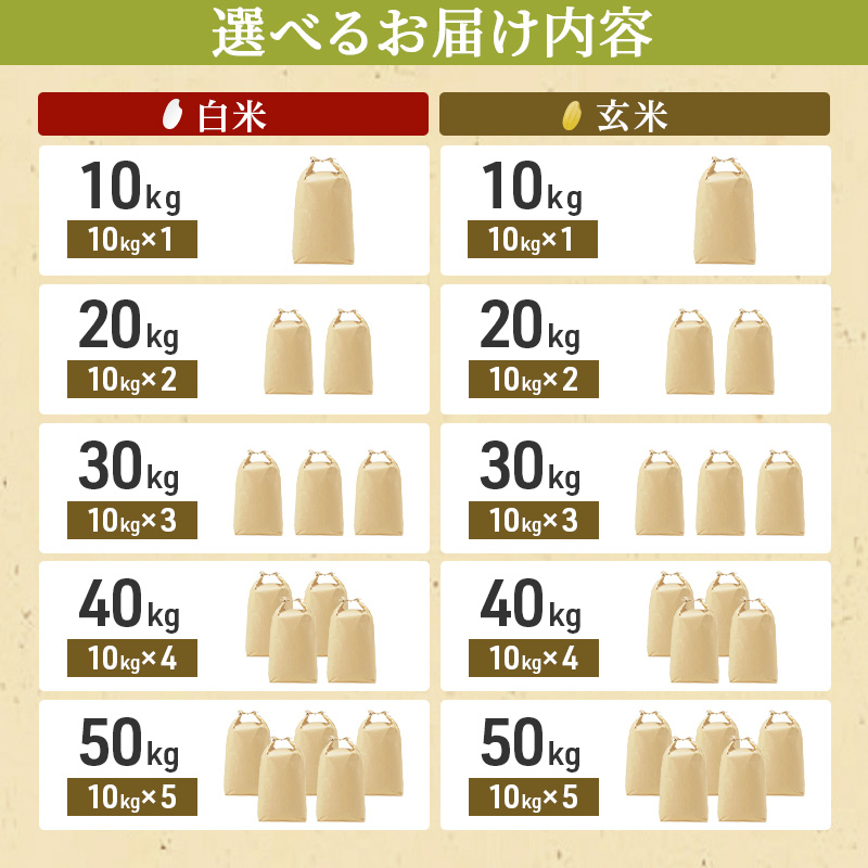 兵庫県加西市のふるさと納税 【令和7年度産 最速予約受付!】ヒノヒカリ 白米 10kg エコ  環境にやさしい おいしい お米 事業者支援 白米 精米 国産 ごはん ご飯 白飯 小分け