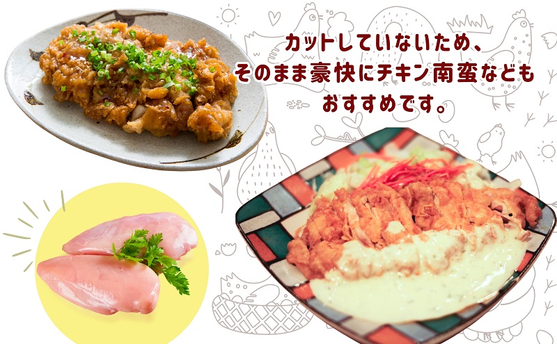 鶏肉 大容量 国産 むね肉 12kg (2kg×6袋) 小分け 冷凍 むね 鶏