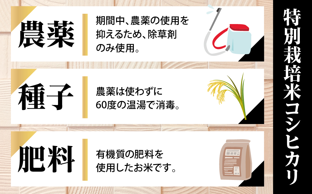 高級米10キロ(5kg×2袋)】岩船こしひかり 特別栽培米(農薬化学肥料