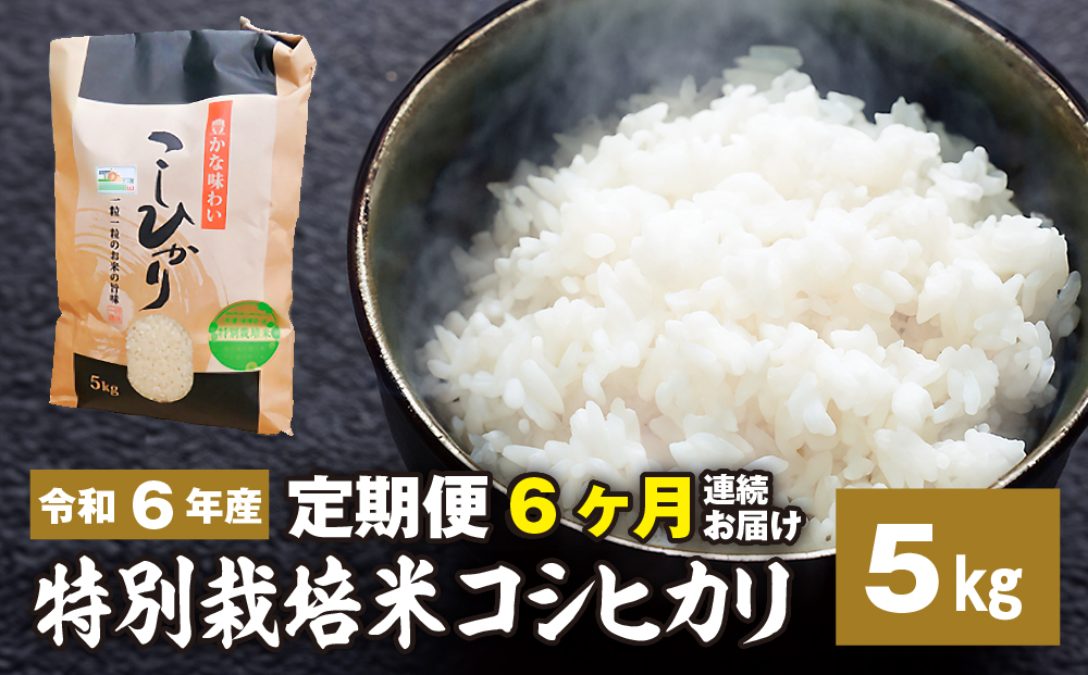 【定期便】6ヶ月お届け 令和六年産特別栽培米 コシヒカリ 5kg