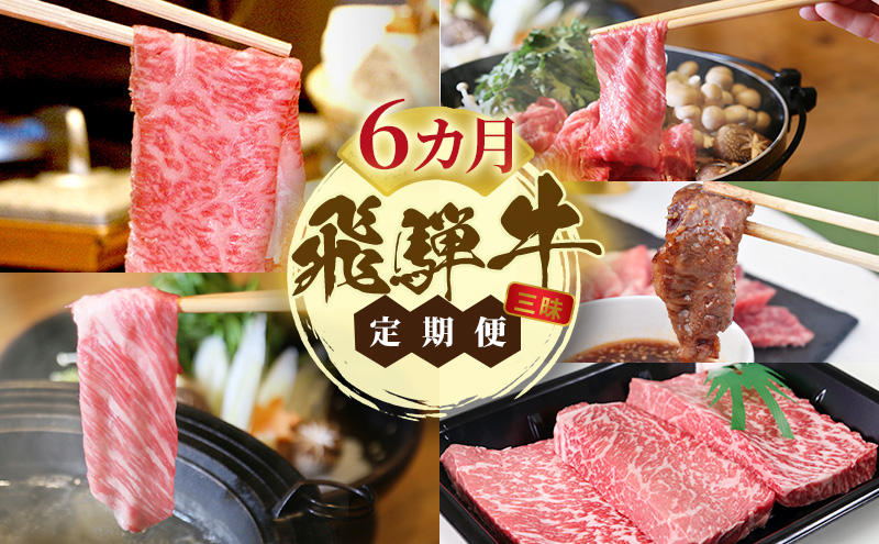 飛騨牛 A5 大満足 飛騨牛三昧  6か月 定期便 ステーキ すき焼き 焼肉