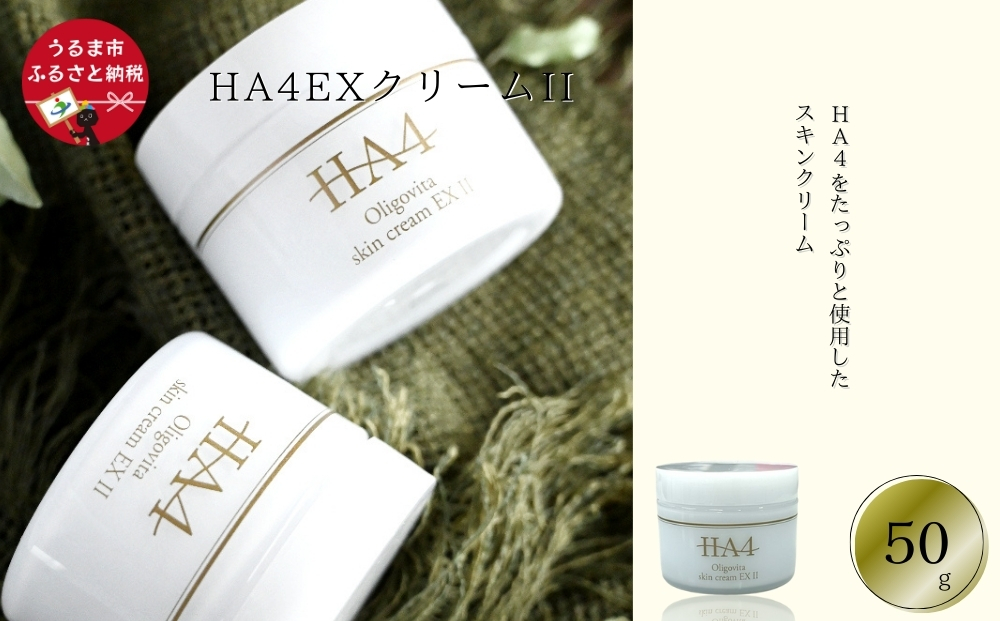 yꌧ܎szHA4EXN[II(50g)