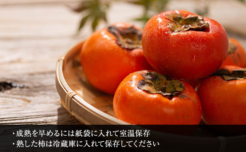 富有柿の発祥の地 瑞穂市！！】富有柿 贈答用 2L×12個入り｜果物