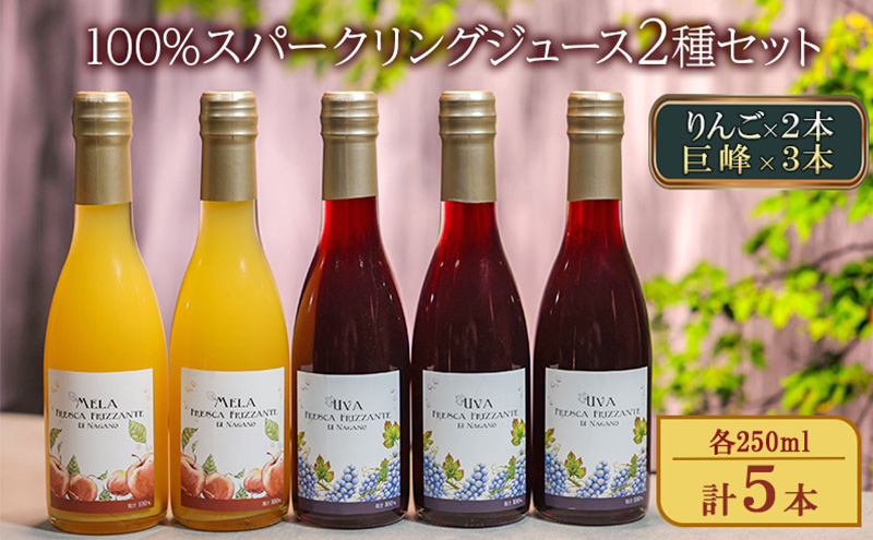 y쌧sz100%Xp[NOW[X2Zbgi×2{A×R{je250ml v5{ Xg[g Y_ mAR[