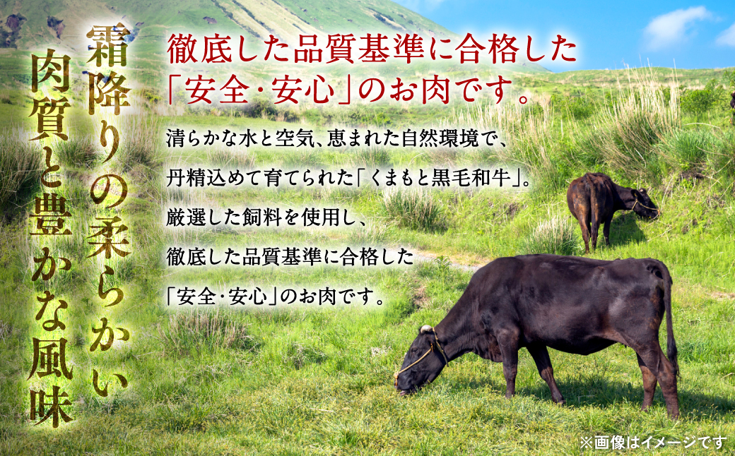 熊本県八代市のふるさと納税 くまもと黒毛和牛　薄切りローススライス　しゃぶしゃぶ用 600g 黒毛和牛 肉 しゃぶしゃぶ