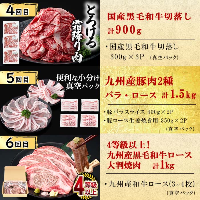 鹿児島県志布志市のふるさと納税 【定期便全6回】大満足！和牛・豚肉定期便(6ヶ月連続・総量8kg以上) t0078-003