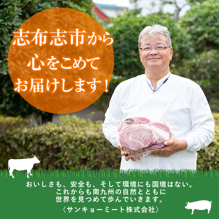 鹿児島県志布志市のふるさと納税 【定期便全6回】大満足！和牛・豚肉定期便(6ヶ月連続・総量8kg以上) t0078-003