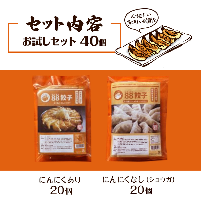 静岡県浜松市のふるさと納税 餃子 浜松 88ぱちぱち餃子 40個 (にんにくあり20個 にんにくなし 20個) セット 浜松餃子 詰め合わせ 国産 冷凍餃子 お試し 食べ比べ 惣菜 おかず 点心 中華 ご当地 ご当地グルメ ニンニク不使用 ギョーザ 冷凍 静岡県浜松市 浜松市 配送不可：離島