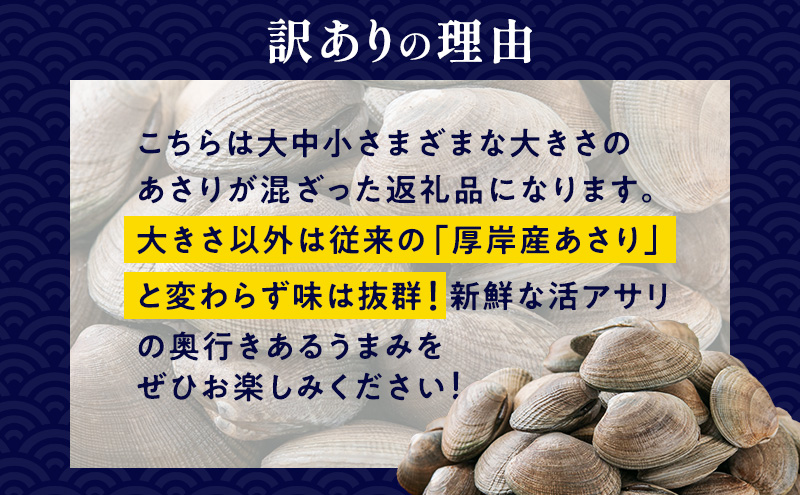 北海道厚岸町のふるさと納税 北海道 厚岸産 訳あり 活あさり 500g アサリ