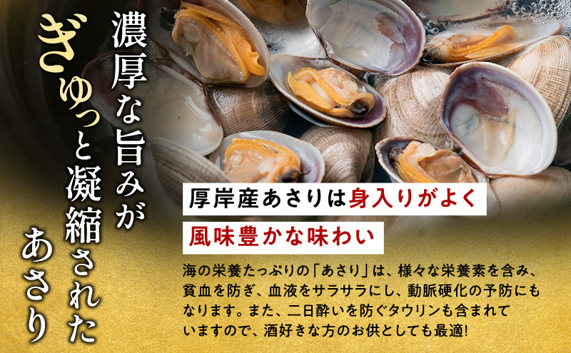 北海道厚岸町のふるさと納税 北海道 厚岸産 訳あり 活あさり 500g アサリ