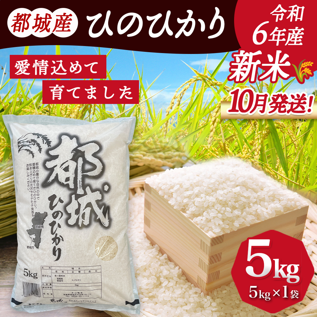 宮崎県都城市のふるさと納税 ★10月発送 都城産ひのひかり5kg(5kg×1袋) ≪令和6年産新米≫_12-1503