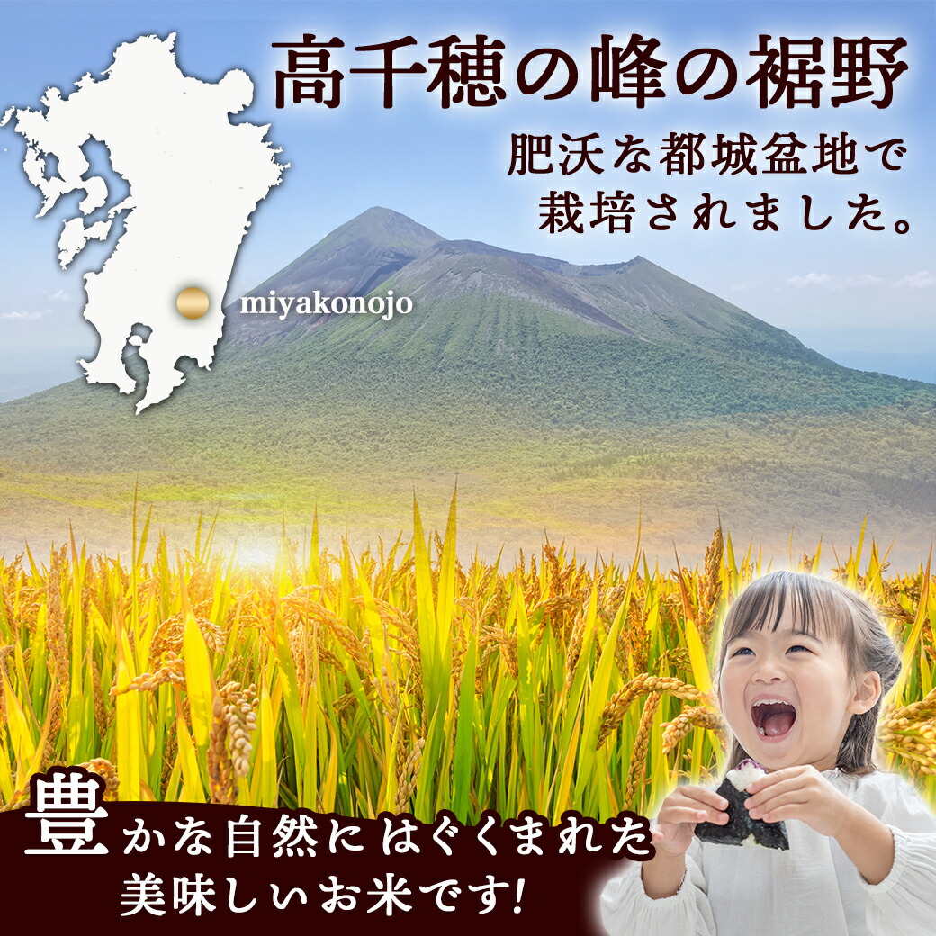 宮崎県都城市のふるさと納税 ★10月発送 都城産ひのひかり5kg(5kg×1袋) ≪令和6年産新米≫_12-1503