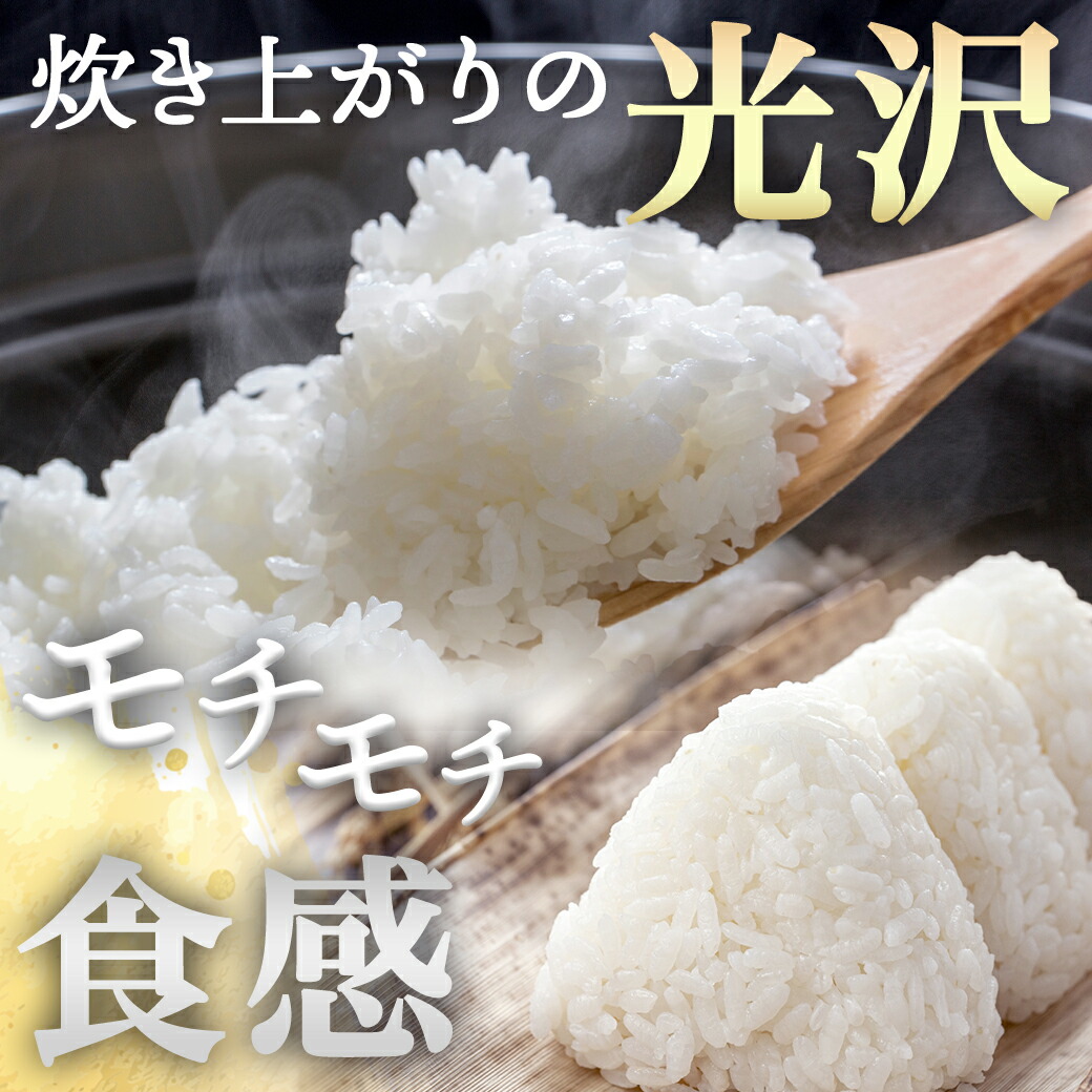 宮崎県都城市のふるさと納税 ★10月発送 都城産ひのひかり5kg(5kg×1袋) ≪令和6年産新米≫_12-1503