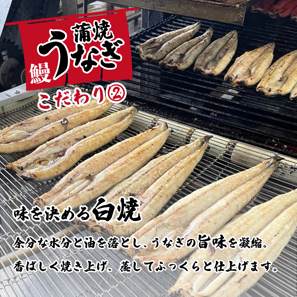 茨城県八千代町のふるさと納税 【最速発送】【 訳アリ 】 国産うなぎ 蒲焼き 3尾 セット ( 380g ) 大きさ の不揃い 山椒付き うなぎ ウナギ 国産 蒲焼 鰻 茨城 訳あり 八千代町 ふるさと納税 11000円 1週間以内発送 [SF001ya]